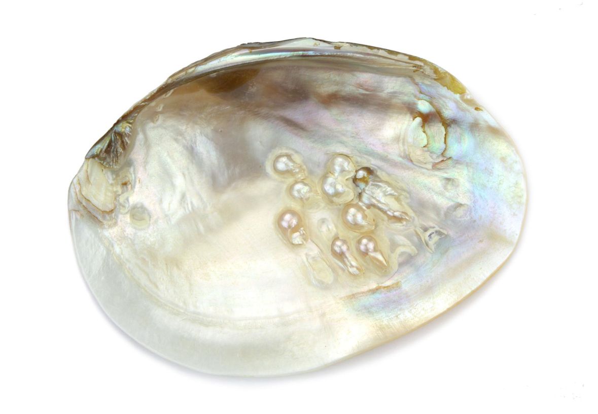 Mother of pearl
